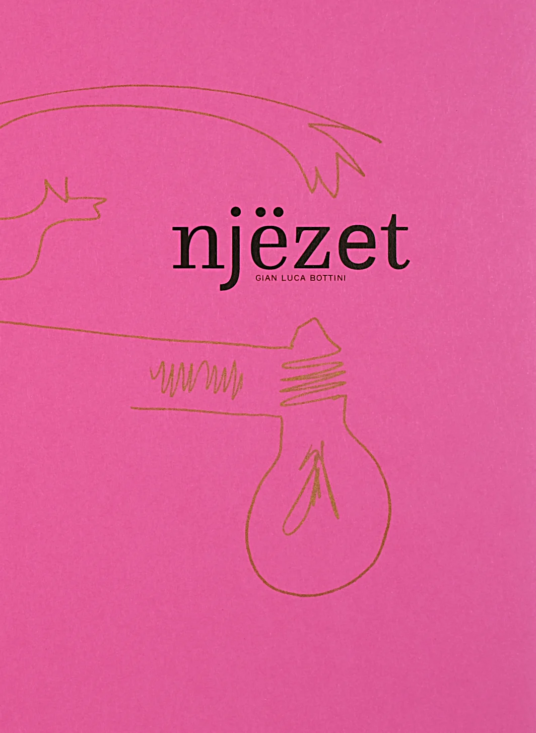 cover con titolo 20 in lingua albanese con segno grafico in oro stampa Risograph